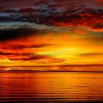 nature_1472