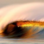 nature_1473
