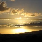 nature_1476