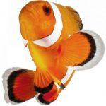 ocean-1320-3-5%d1%853-6