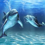 ocean-1361-6-0%d1%854-5