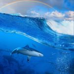 ocean-1365-6-0%d1%856-0