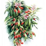 painting_1381