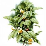 painting_1382