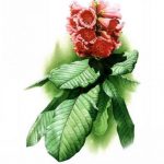 painting_1384