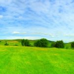 panorama-1313-12-0%d1%854-0