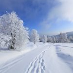 panorama-1348-5-6%d1%853-7