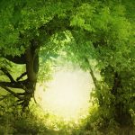 surrealism-1314-6-6%d1%855-4
