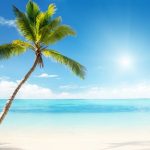 tropic-1308-5-1%d1%853-6