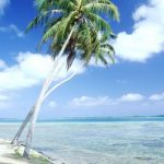 tropic-1317-2-7%d1%853-9