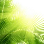 tropic-1329-7-0%d1%855-1