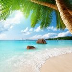 tropic_1339