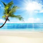 tropic_1351