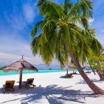 Deck chairs under palm trees on a tropical beach