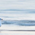 water_1533