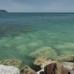 water_1555